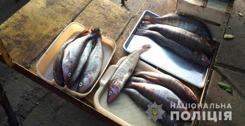 В Николаеве полицейские с рыбинспекторами прошлись по рынкам – составили 7 протоколов и изъяли 30 кг рыбы 9
