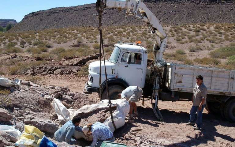 И снова Аргентина: палеонтологи обнаружили останки неизвестного ранее динозавра, который жил 110 миллионов лет назад 1