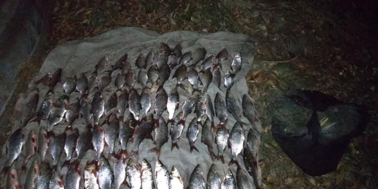 В Новоодесском районе Николаевский рыбоохранный патруль поймал браконьера, сетями добывшего 15 кг рыбы, и пресек установку 30 раколовок