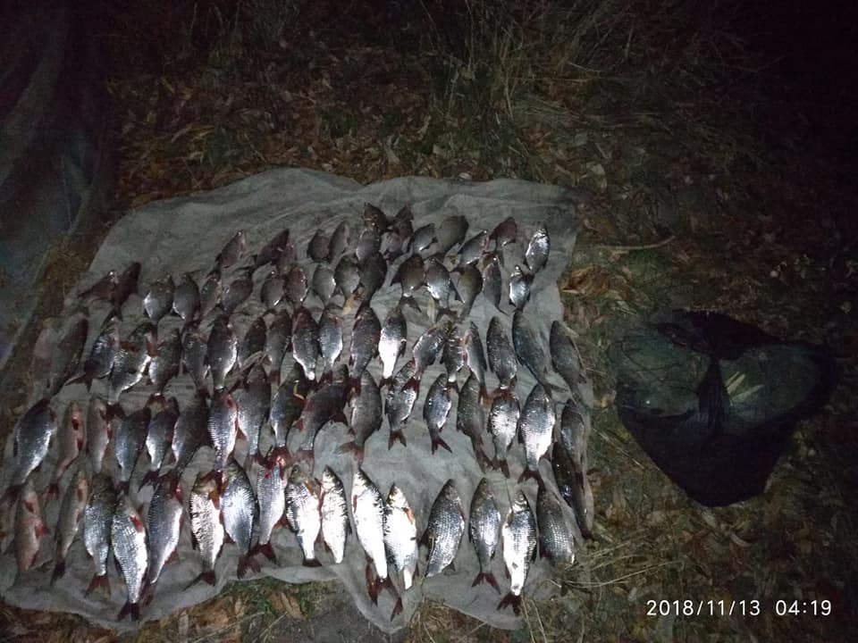 В Новоодесском районе Николаевский рыбоохранный патруль поймал браконьера, сетями добывшего 15 кг рыбы, и пресек установку 30 раколовок 3