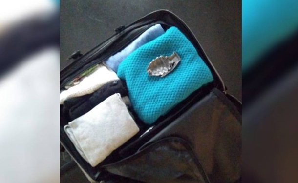 В Испании два вокзала эвакуировали из-за пряжки ремня