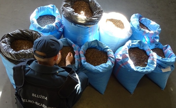 Украинец пытался ввезти в Польшу 275 кг контрабандного янтаря