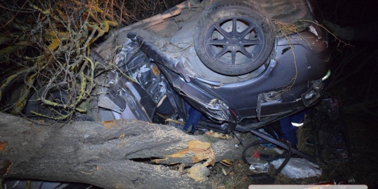 Под Николаевом “Жигули” слетели с дороги – пассажир погиб