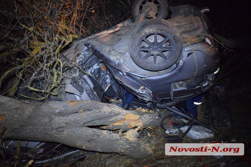 Под Николаевом "Жигули" слетели с дороги - пассажир погиб 1
