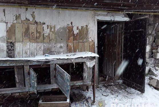 Под Киевом живодеры прикидывались волонтерами и убивали животных