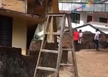 В Индии селян напугала “живая” стремянка. Теперь ее стараются задобрить