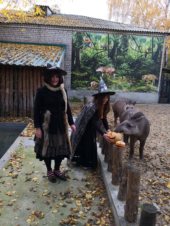 Ведьмы-экскурсоводы, страшные животные и веселый шабаш – как в Николаевском зоопарке отметили Хэллоуин 9