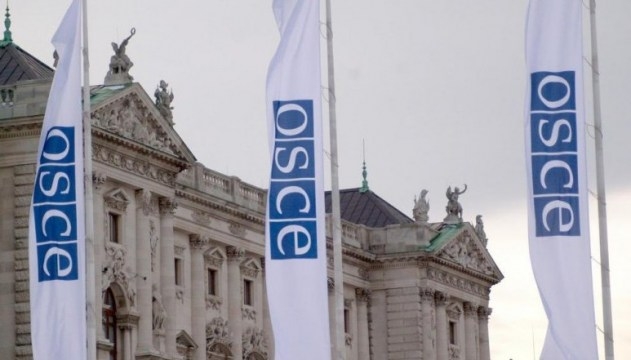 На заседании ОБСЕ Россия была в изоляции, “выборы” на Донбассе осудили 40 стран
