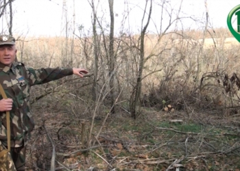 В Николаевской области егерь с боем задержал лесорубов-браконьеров. Но не уверен, что они будут наказаны
