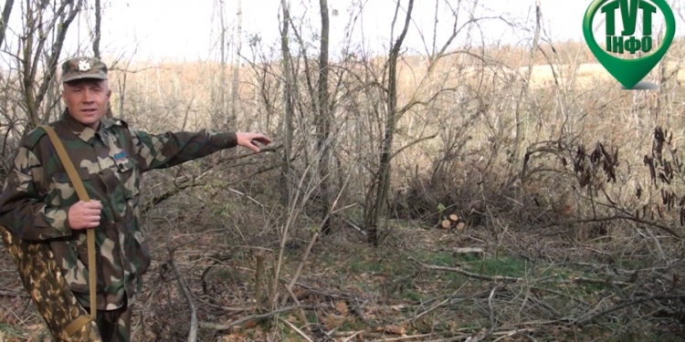 В Николаевской области егерь с боем задержал лесорубов-браконьеров. Но не уверен, что они будут наказаны