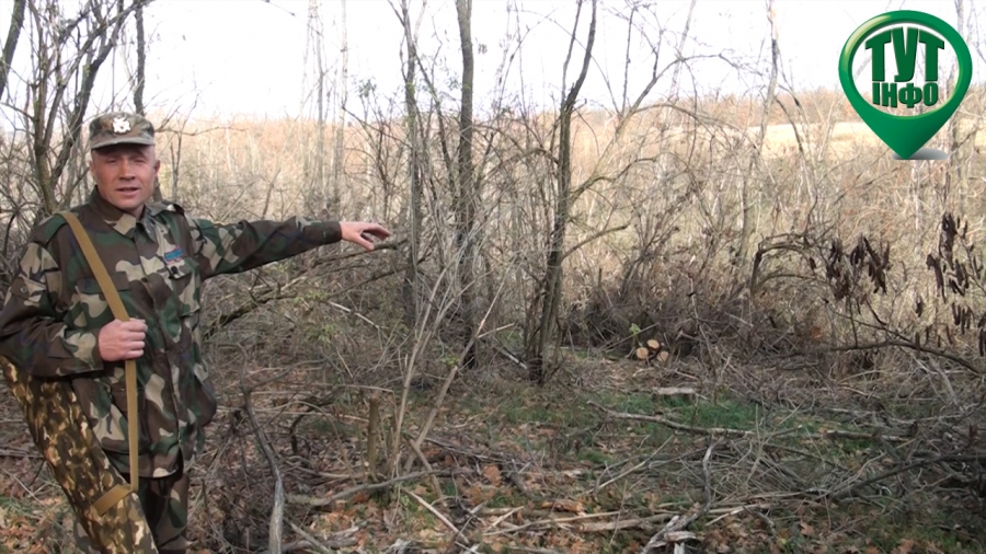 В Николаевской области егерь с боем задержал лесорубов-браконьеров. Но не уверен, что они будут наказаны 1