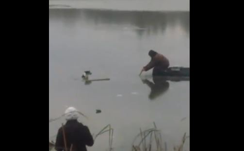 Под Киевом рыбак спас из-подо льда умирающую собаку 1