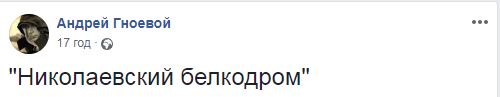 Отражения Николаева в интернет-реальности: от карикатур на "золотого крота" до вирусной рекламы и "синей белки" 6