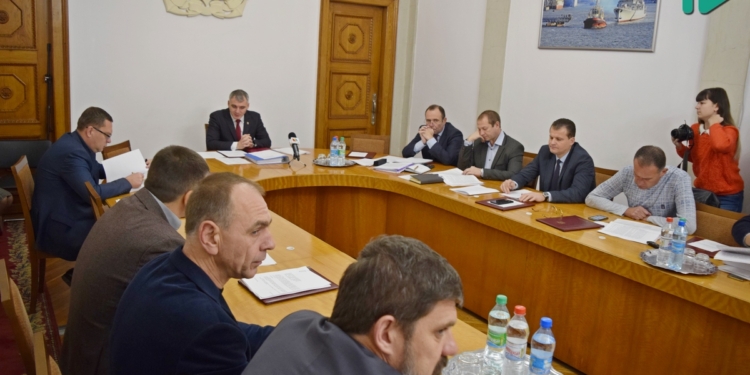 Исполком Николаевского горсовета согласовал «депутатскую» программу по бездомным животным