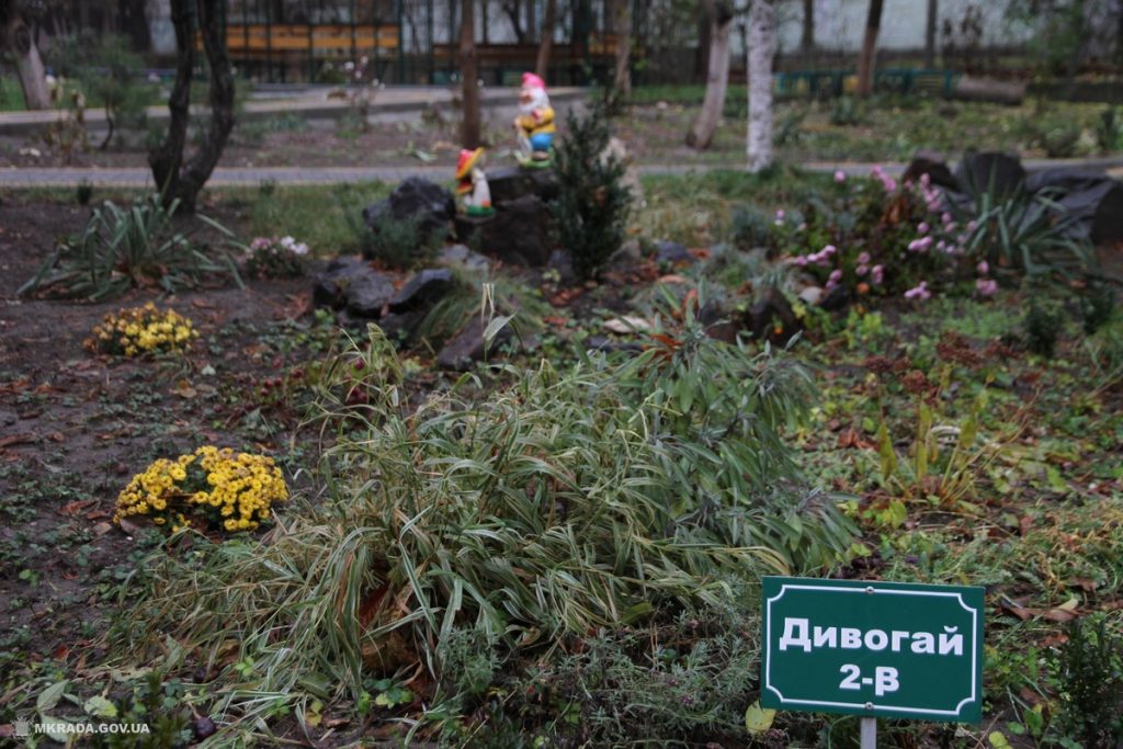 Закончилась реконструкция спортивной площадки Николаевского муниципального коллегиума 22