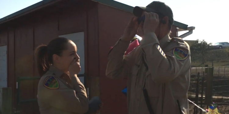 Коллеги подарили шерифу с дальтонизмом специальные очки. Он увидел настоящие цвета первый раз в жизни