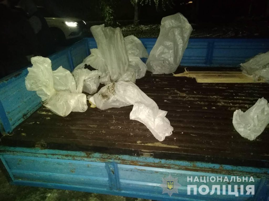 Три тонны чугуна вчетвером украли на заводе в Первомайске 3