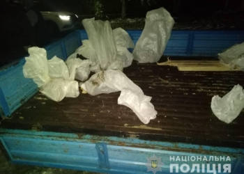 Три тонны чугуна вчетвером украли на заводе в Первомайске