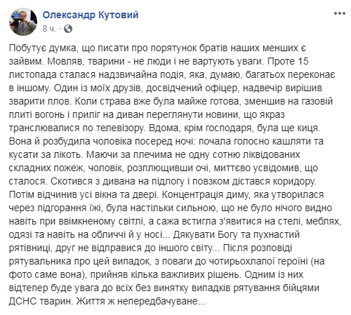 В Виннице кошка спасла во время пожара офицера-спасателя. Коллеги обещают отблагодарить 4