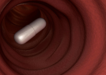 В Австралии создали игру, в которую игроки играют своим кишечником