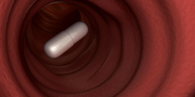 В Австралии создали игру, в которую игроки играют своим кишечником