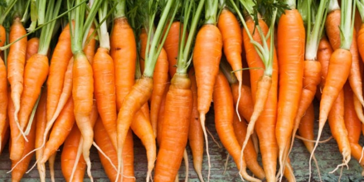 Из кухни Кривоозерской ЦРБ изъяли партию морковки – в ней было много нитратов