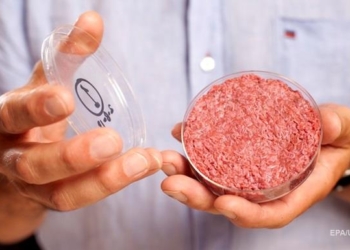 В США готовятся к продажам “мяса из пробирки”