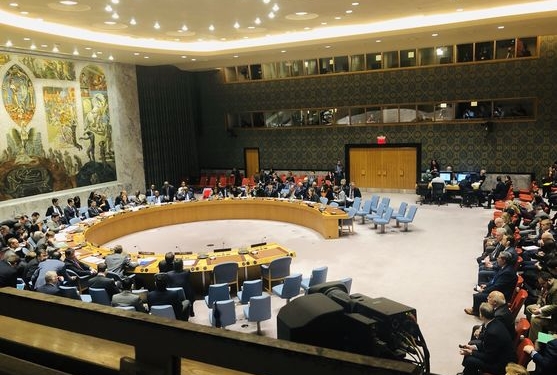 Совбез ООН заблокировал инициативу России о “нарушении границ” кораблями ВМС Украины