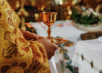 Представители УПЦ МП рассказали Порошенко о безумном давлении на них