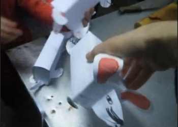 Еда «с интересом»: что юннаты Николаевского зоопарка придумали для рысей