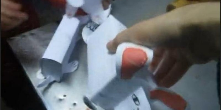 Еда «с интересом»: что юннаты Николаевского зоопарка придумали для рысей