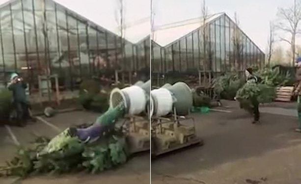 «Упакуйте меня вместе с елочкой»: странные забавы некоторых немецких подростков