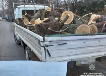 Откуда дровишки? За два дня патрульные обнаружили 3 машины, на которых везли древесину без соответствующих документов