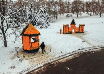 Погулять в цитрусовом королевстве. На что в Киеве «перевели» кучу лимонов и апельсинов