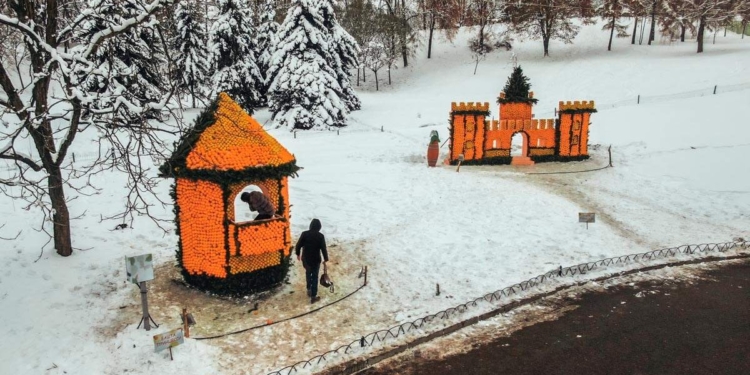 Погулять в цитрусовом королевстве. На что в Киеве «перевели» кучу лимонов и апельсинов