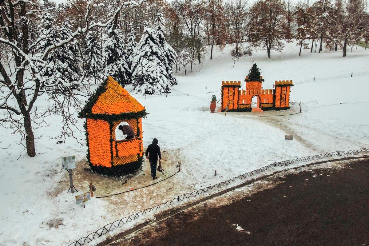 Погулять в цитрусовом королевстве. На что в Киеве «перевели» кучу лимонов и апельсинов