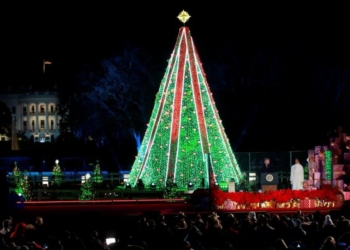 Из-за одного неадеквата и правительственного кризиса в США Главная елка страны может так и не «зажечься» в Рождество