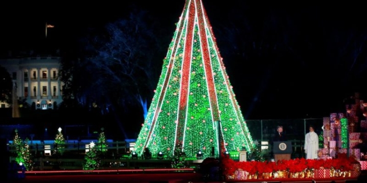 Из-за одного неадеквата и правительственного кризиса в США Главная елка страны может так и не «зажечься» в Рождество