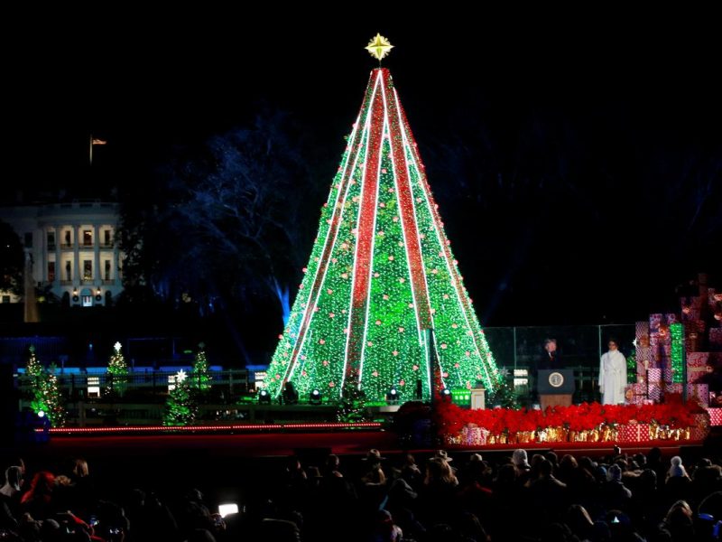 Из-за одного неадеквата и правительственного кризиса в США Главная елка страны может так и не «зажечься» в Рождество 1