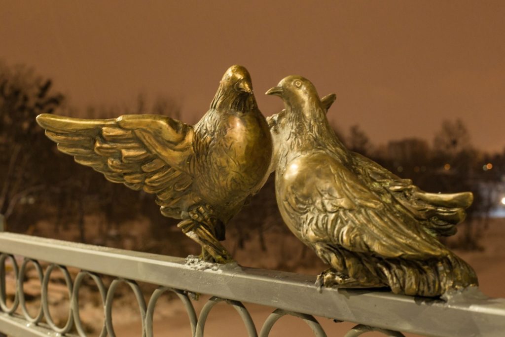 На мосту в Виннице "поселилась" милая компания: гуси, голуби и коты 9