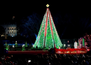 В США мужчина залез на рождественскую елку перед Белым домом