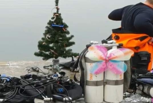 Выше? Нет, глубже. Украинские дайверы установили елку на 12-метровой глубине