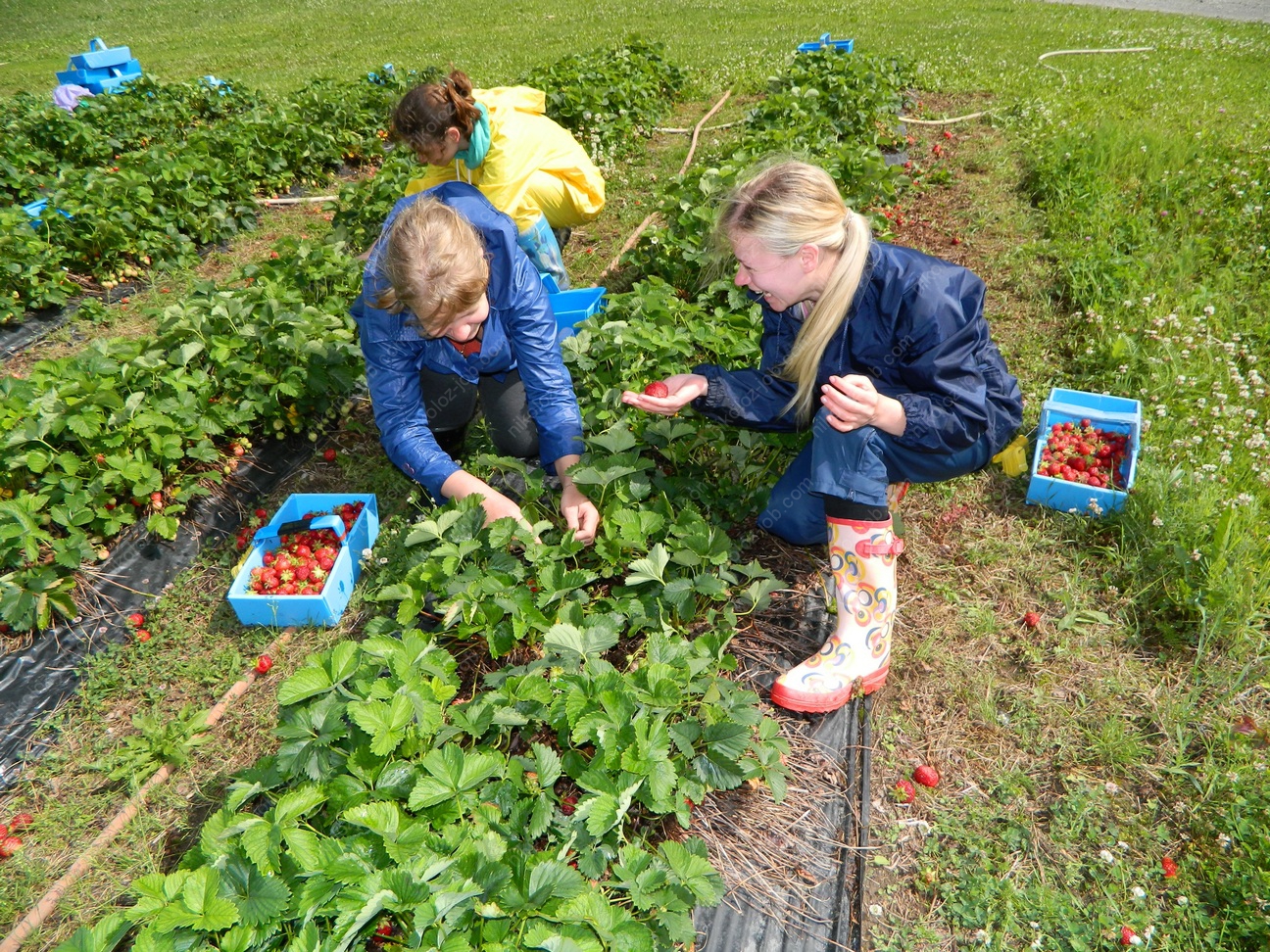 Около 9 миллионов украинцев работают за границей