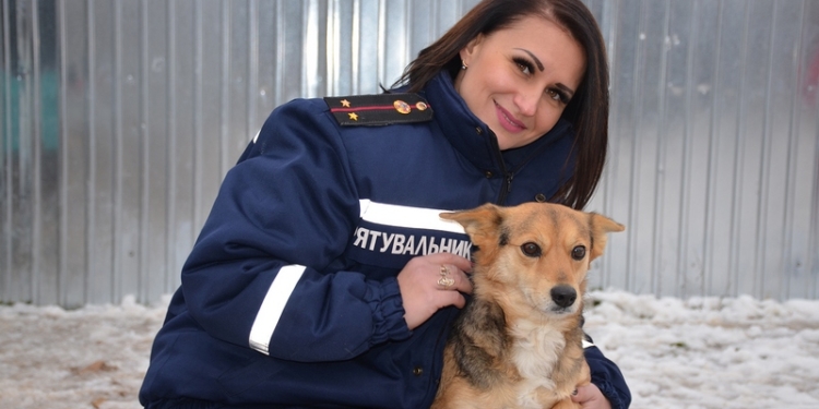 «Подаруй надію пухнастику»: спасатели Николаевщины будут пиарить питомцев приюта «Город собак», чтобы найти им хозяев
