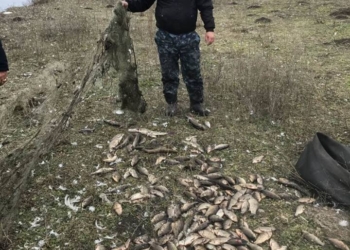 На Черном Ташлыке Николаевский рыбоохранный патруль поймал браконьера, выловившего сетями 42 кг рыбы