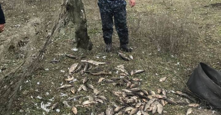 На Черном Ташлыке Николаевский рыбоохранный патруль поймал браконьера, выловившего сетями 42 кг рыбы