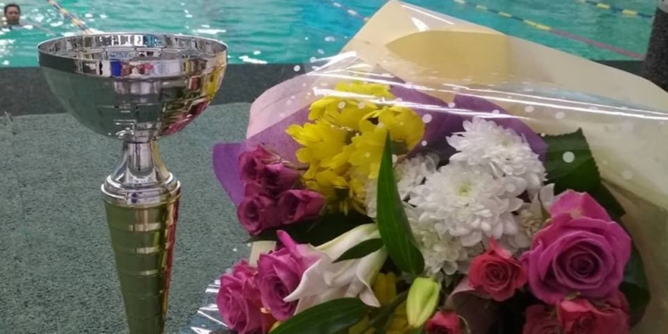 Юные синхронистки из Николаева заняли ІІІ место на Открытом Кубке Украины