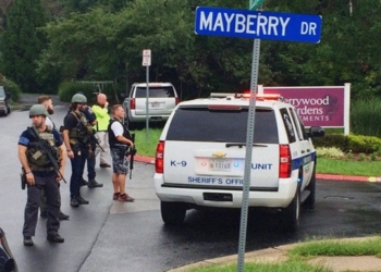 В США обстреляли машину с детьми