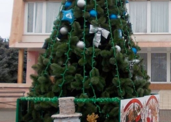 Ночью с новогодней елки, установленной в центре Березанки, воры сняли игрушки