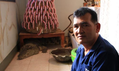 Вместо собачки. Уже 20 лет житель Таиланда держит в доме крокодила 3